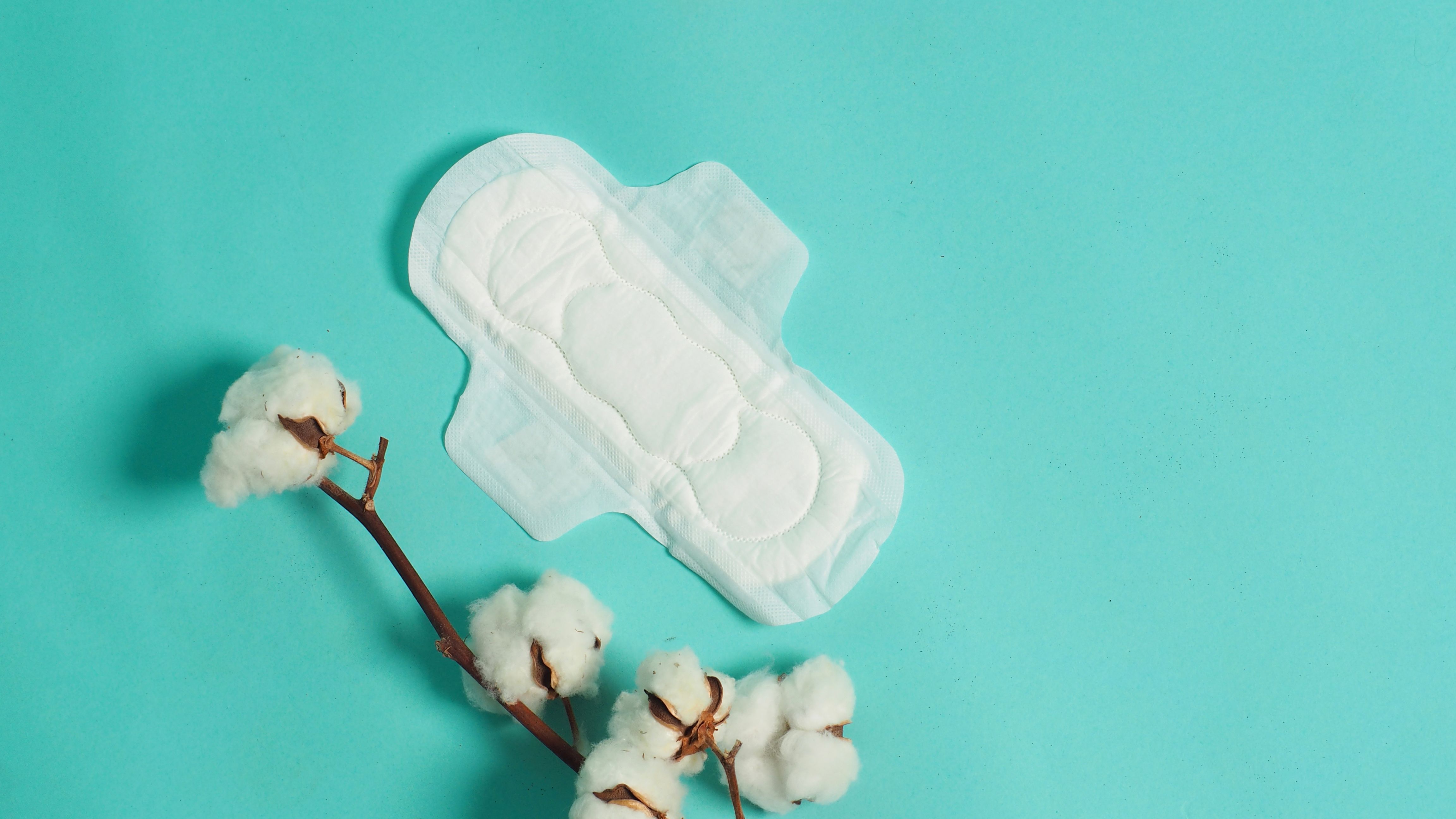 Junge Grünliberale unterstützen kostenlose Menstruationsartikel an Schulen